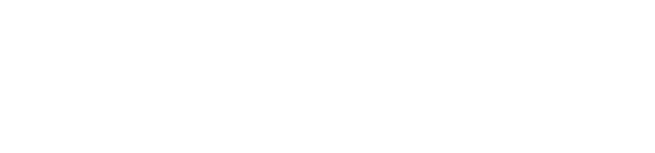 white VisionPLM logo