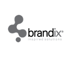 Brandix标志