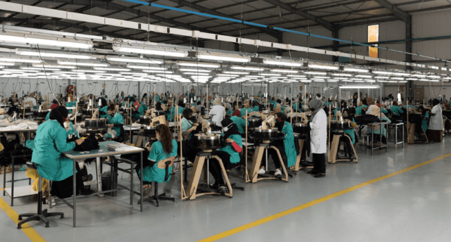 Tunicotex production floor